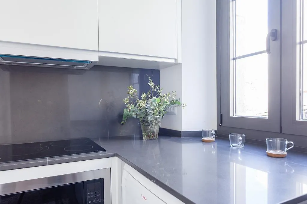 ז'ירונה Luxury Apartments Bona ספרד
